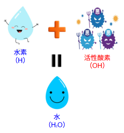 体の“サビ”を除去する抗酸化作用